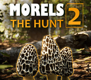 Morels The Hunt 2