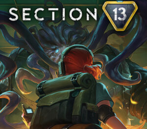 Section 13