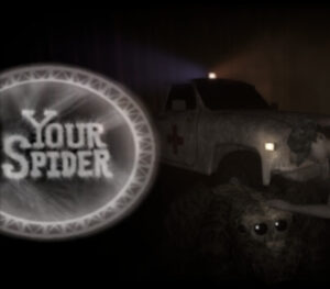 Your Spider