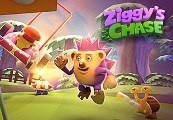 Ziggy's Chase